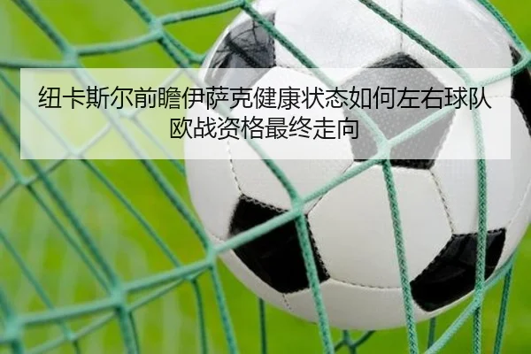 纽卡斯尔前瞻伊萨克健康状态如何左右球队欧战资格最终走向